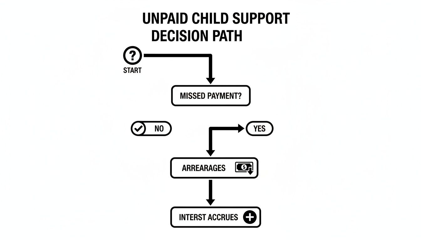 Flowchart illustrating the decision path for unpaid child support, from missed payment to arrears and interest accrual.