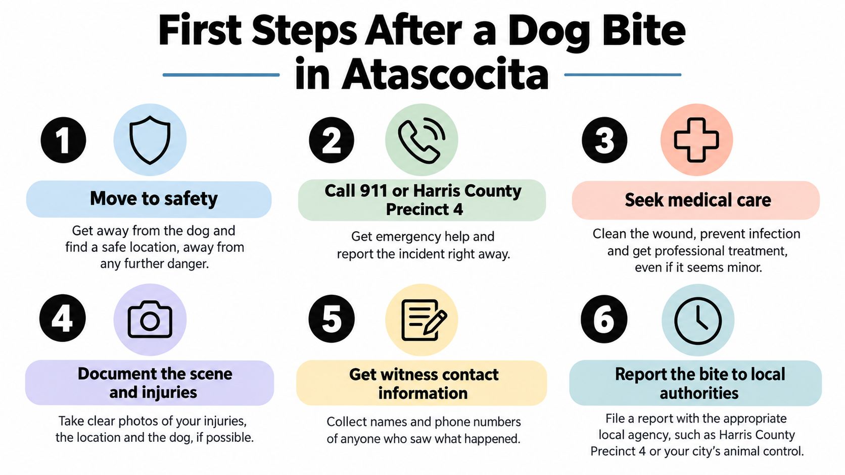 An infographic titled First Steps After a Dog Bite in Atascocita listing six numbered safety steps.